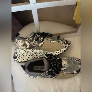 Steve Madden Cliff Sneakers